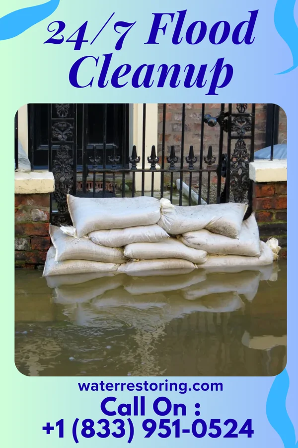 24/7 Flood Cleanup in Long Point, IL