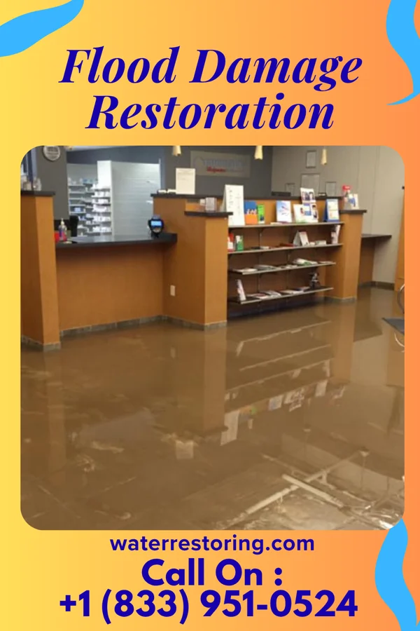 Flood Damage Restoration in Long Point, IL
