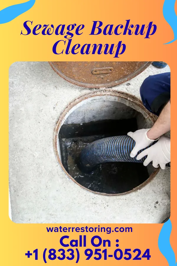 Sewage Backup Cleanup in Long Point, IL