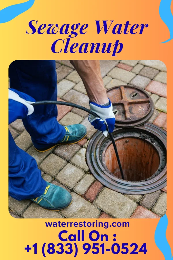 Sewage Water Cleanup in Long Point, IL