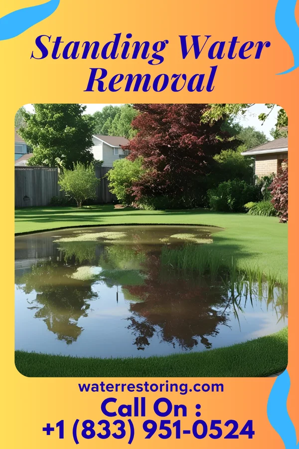 Standing Water Removal in Long Point, IL